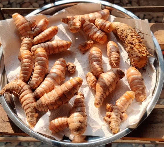 Our Story Fresh Turmeric